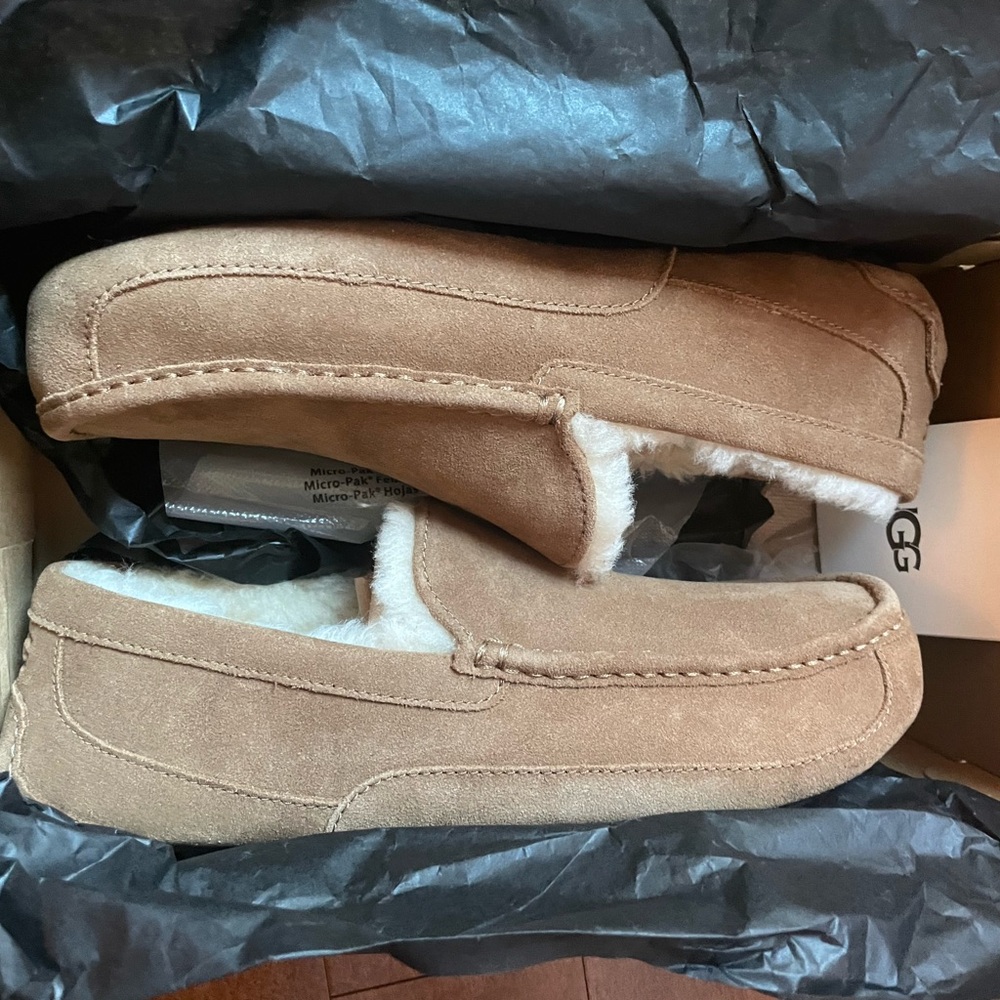 Ugg Ascot Mens size 11